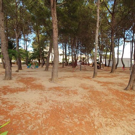 Family Seafront Apt Fantastic Seaview Польенса Экстерьер фото